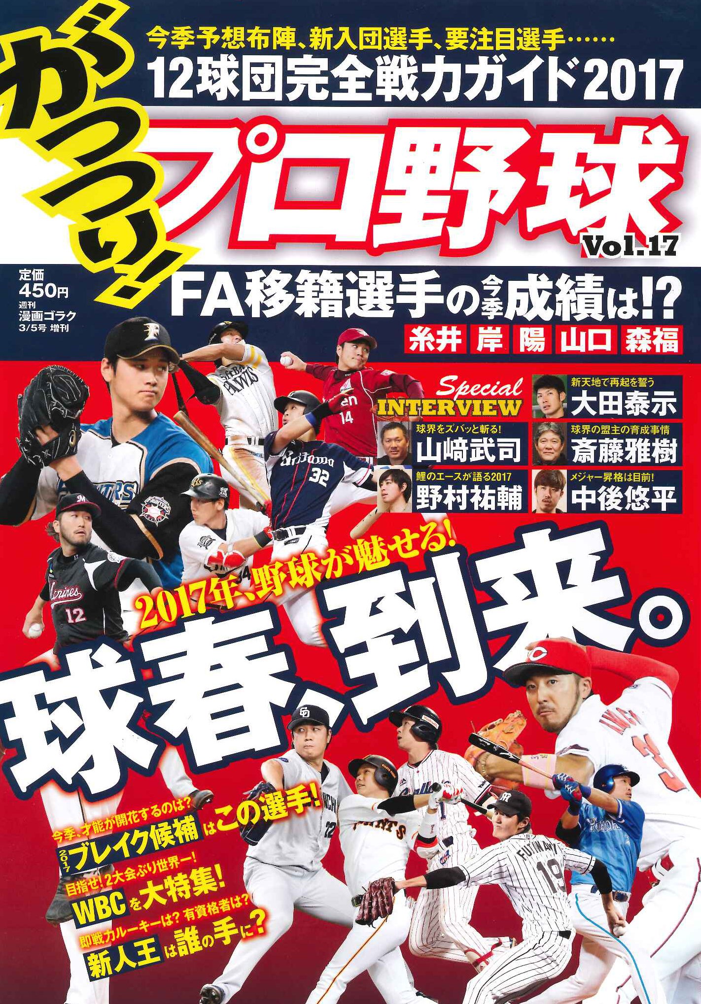 がっつり！ プロ野球Vol.17