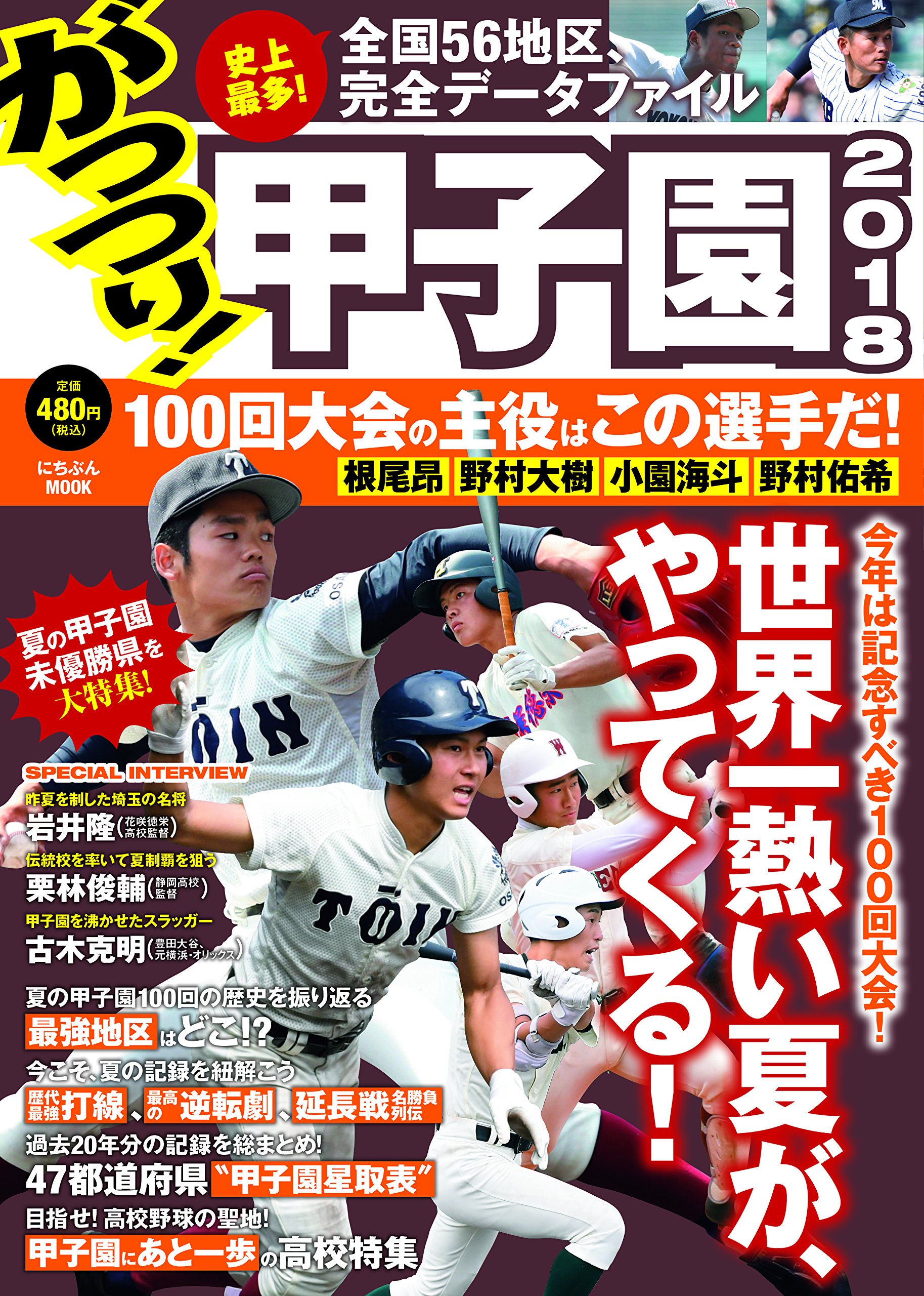 がっつり! 甲子園2018